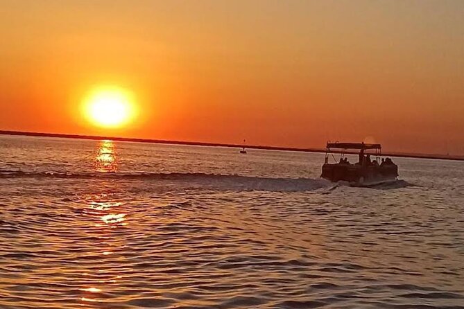Sunset Tour | Ria Formosa - From Faro - Key points to know before booking