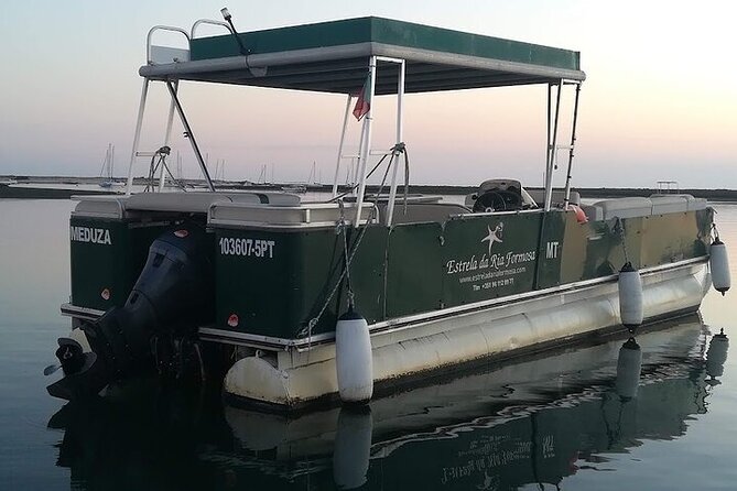 Sunset Tour | Ria Formosa - From Faro - The marshes, birds, and changing tide