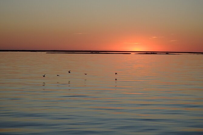 Sunset Tour | Ria Formosa - From Faro - Captains make a short tour feel personal