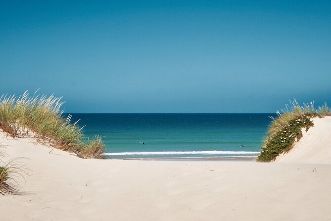 Surf Courses In Peniche and Baleal Portugal - Key points at a glance