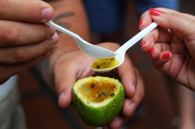 Taste Funchal: food, wine & cultural tour - The first tastings: tea, wine, or a full plate