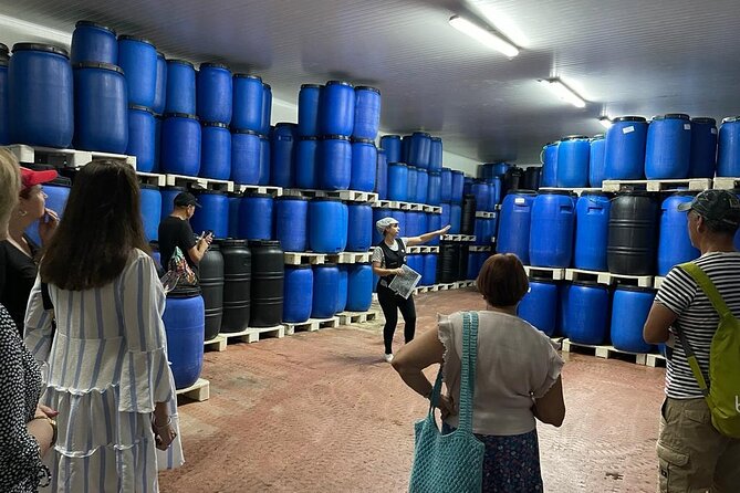 Tavira Olive Experience Factory Tour and Tasting - The tasting is the real second half