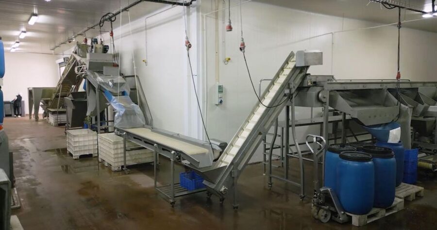 Tavira: Olive Factory Tour and Tasting - The tasting is more like a meal than a sample