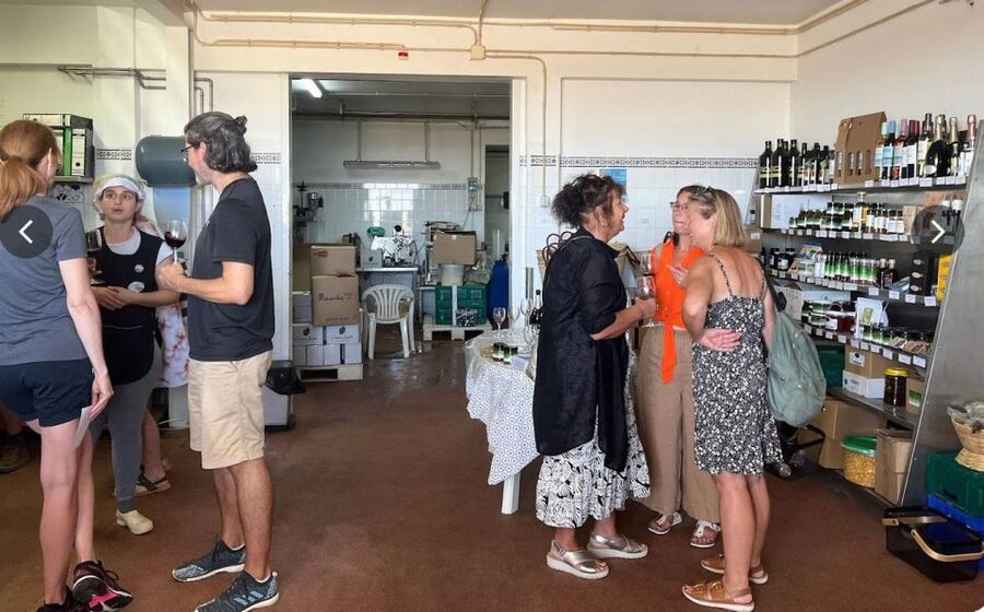 Tavira: Olive Factory Tour and Tasting - Timing, access, and the real value of $34