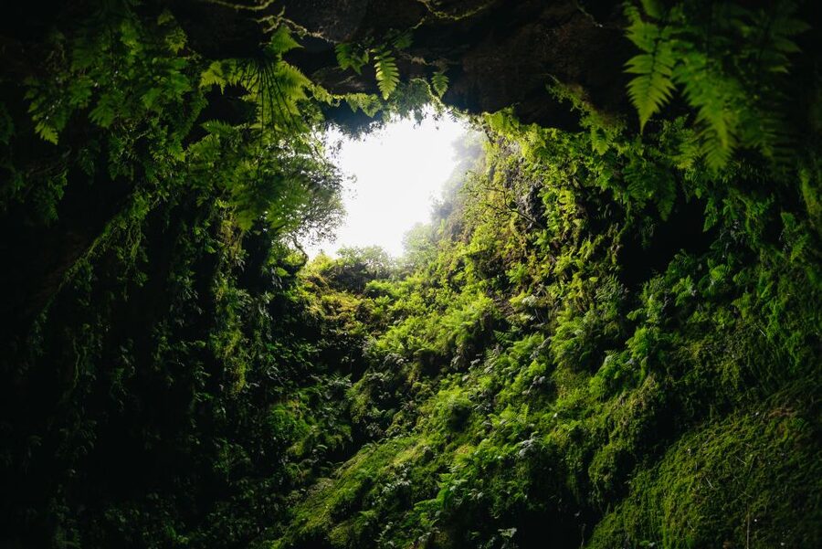 Terceira: Algar do Carvão Lava Caves Tour - Who will enjoy this half-day outing