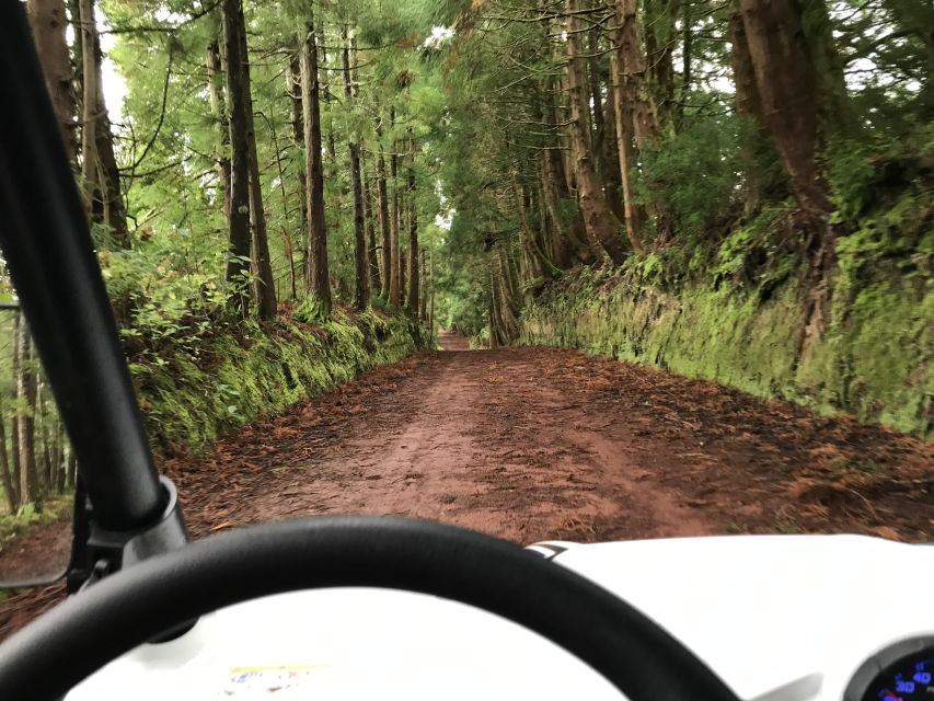Terceira: Buggy Tour 4x4 West Side Azores Retreat - Is $200 good value?