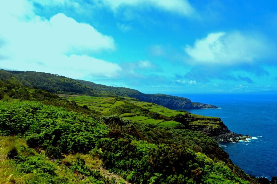 Terceira: Half-Day Island Tour with Cheese Tasting - São Mateus and the island’s fishing tradition