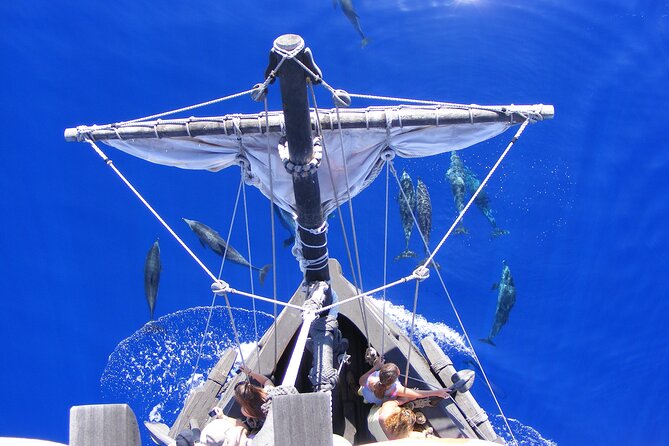 Time Travel on Columbus Replica Flag Ship in Madeira - Madeira wine, honey cake, and the small extras