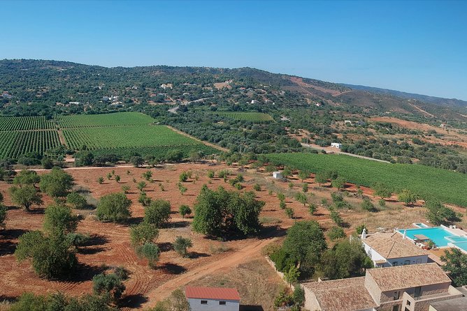 Tour & Wine tasting - Authentic Algarve Flavours by Quinta da Tôr - How the price compares with the experience