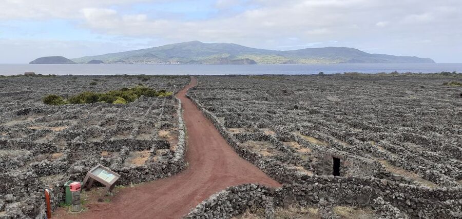 Tours on Pico Island - Cultural and Natural Landscape - One day, three towns, and Pico’s changing scenery