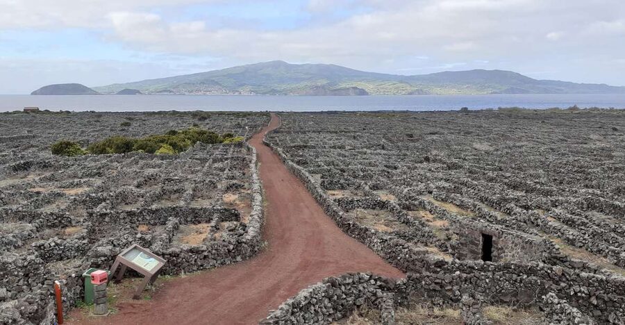 Tours on Pico Island - Cultural and Natural Landscape - The UNESCO vineyards, built from black volcanic rock