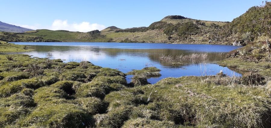 Tours on Pico Island - Cultural and Natural Landscape - Timing, meals, and what the $111 price means
