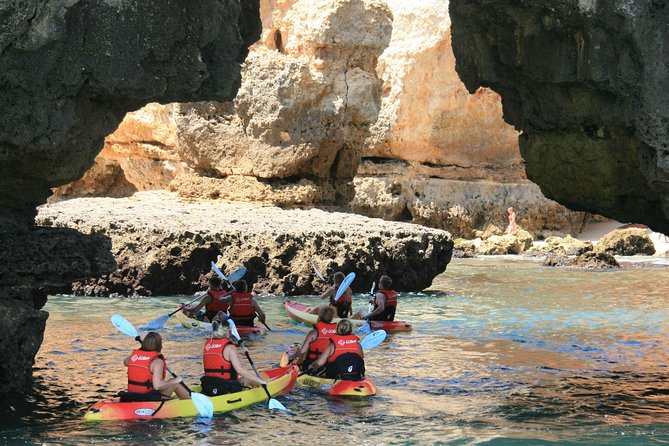 Unlock the Magic of Ponta da Piedade by Kayak – Lagos - Key points to know before booking
