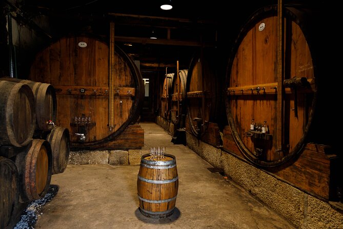 VALE DOURO, Premium Wine Tour, Wine Lunch, Private Boat - The first winery and traditional wine tasting