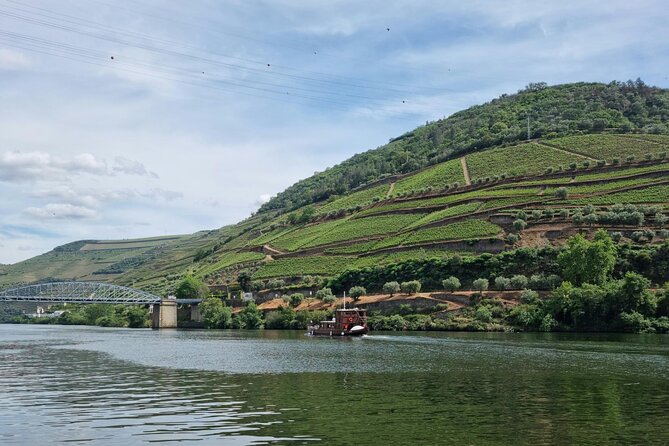 VALE DOURO, Premium Wine Tour, Wine Lunch, Private Boat - Lunch at a family winemaker