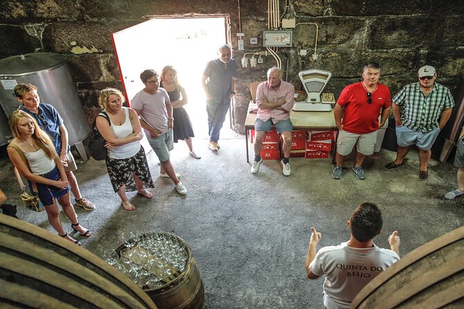 VALE DOURO, Premium Wine Tour, Wine Lunch, Private Boat - Who should book this day out?