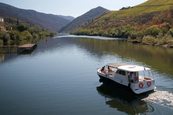 VALE DOURO, Premium Wine Tour, Wine Lunch, Private Boat - Leaving Porto for the Douro