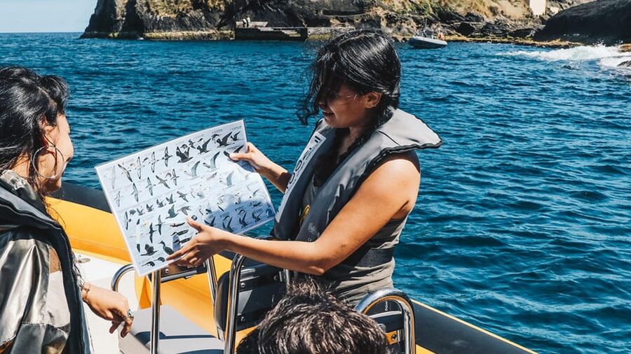 Vila Franca Islet: Around The Islet Guided Boat Tour - Returning to the marina