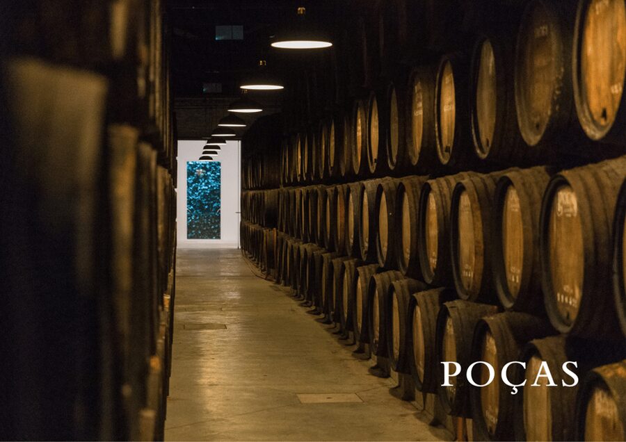 Vila Nova de Gaia: Winery Tour with 2 DOC Douro & 1 Port - The cellar, where time is part of the story