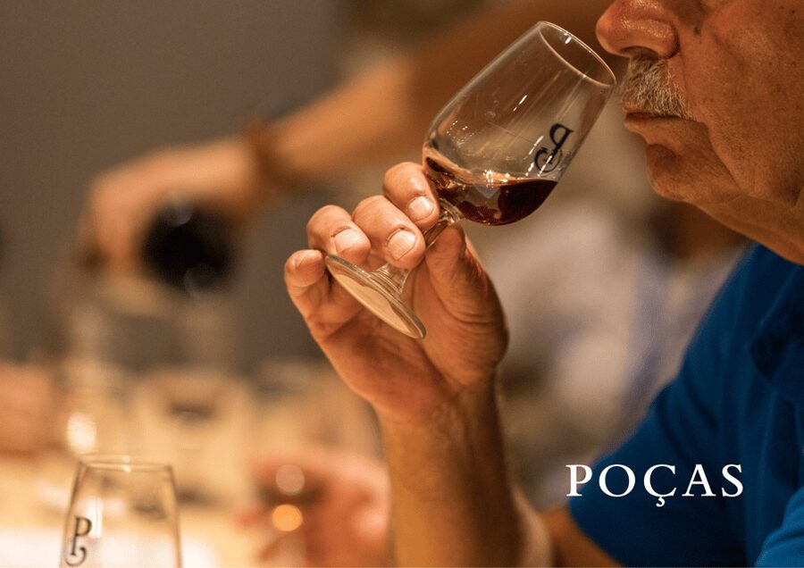 Vila Nova de Gaia: Winery Tour with 2 DOC Douro & 1 Port - What the three wines teach you