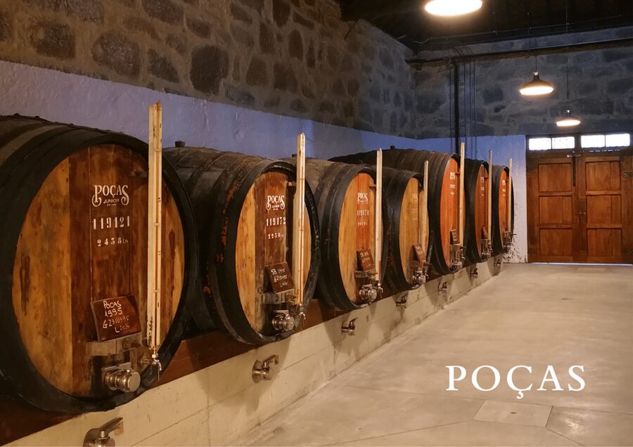 Vila Nova de Gaia: Winery Tour with 2 DOC Douro & 1 Port - Moving from barrels and bottles to the tasting room