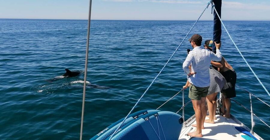 Vilamoura: Coastal Cruise on a Luxury Sailing Yacht - Key points to know before booking