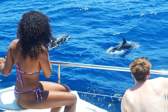 VipDolphins Luxury Whale Watching - A small catamaran with room to breathe