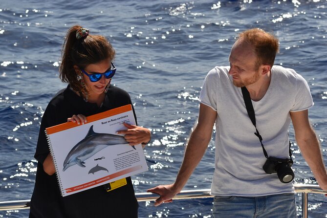 VipDolphins Luxury Whale Watching - What the whale and dolphin search feels like