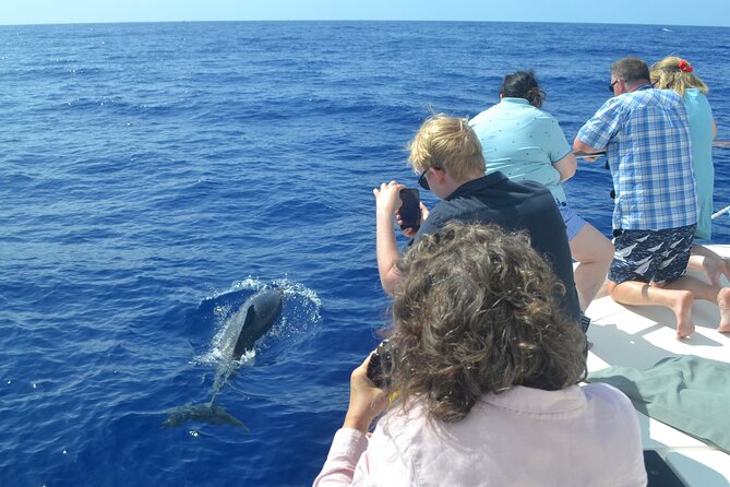 VipDolphins Luxury Whale Watching - Drinks, local snacks, and the luxury touch