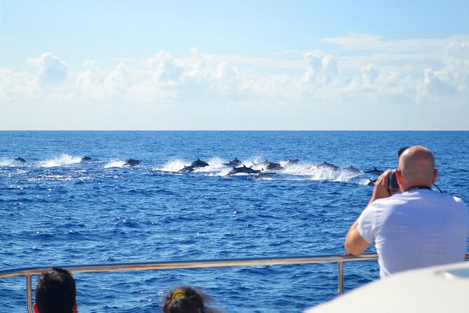 VipDolphins Luxury Whale Watching - Swimming beneath Cabo Girao