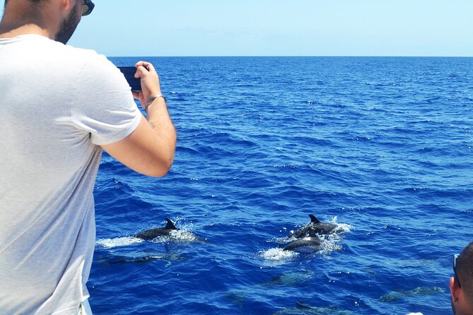 VipDolphins Luxury Whale Watching - Who will enjoy this Madeira cruise most