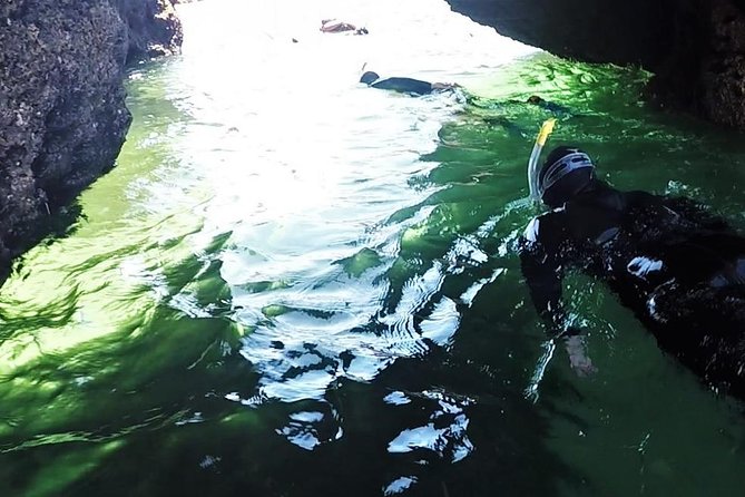 Visit Secret Caves, Hidden Beaches and Snorkel in Alvor, Portugal - Is $96.54 a fair price?