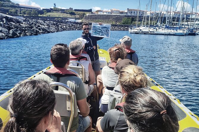 Watching whales and dolphins on Terceira Island - A small boat with a clear view
