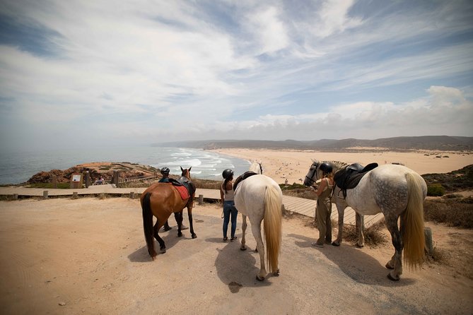 Welcome to Carrapateira Horse Riding Tour - From Carrapateira Beach to the Atlantic cliffs