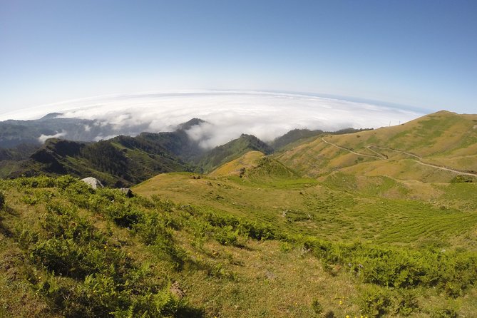 West Madeira 4x4 Tour with Local Guide - The roadside waterfall brings a quick Madeira surprise
