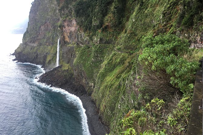 West Madeira 4x4 Tour with Local Guide - Fanal Forest is the atmospheric heart of the tour
