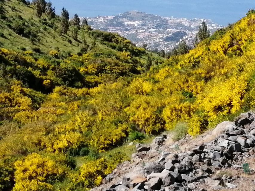 West Madeira:, Laurel Forest, Waterfall, Rock Pools, Walk - Porto Moniz gives you the day’s longest break