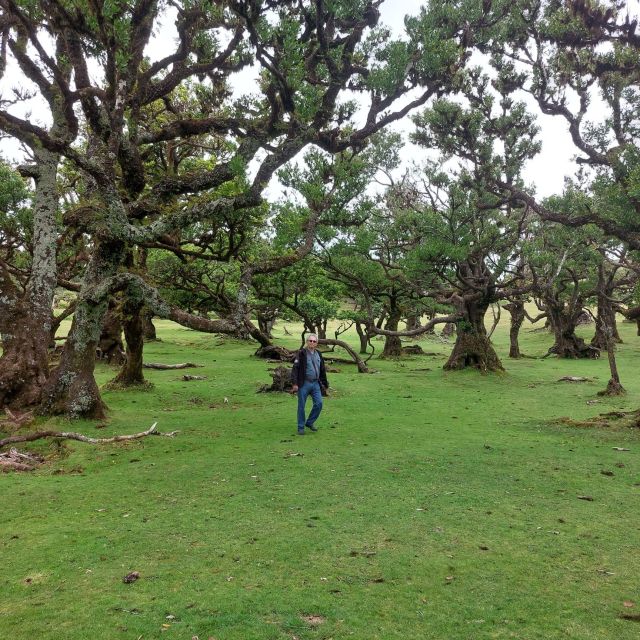 West Madeira:, Laurel Forest, Waterfall, Rock Pools, Walk - Seixal and the Bride’s Veil waterfall