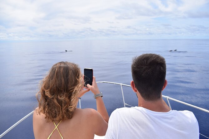 Whale and Dolphin Watching Tour in Madeira - Calheta Marina is the starting point