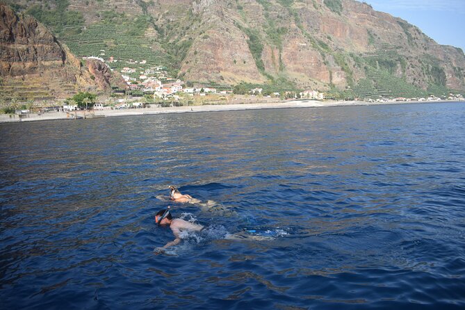 Whale and Dolphin Watching Tour in Madeira - Service, safety, and the small details