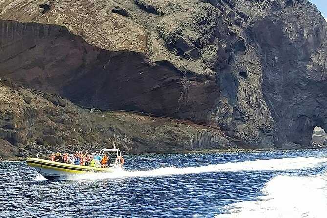 Whale & Dolphin Watching in Madeira - Swimming at Cais do Sardinha