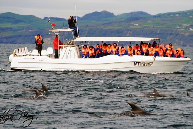 Whale Watching Tour + Vila Franca Islet: Full-day with lunch - The midday meal and the time between boats