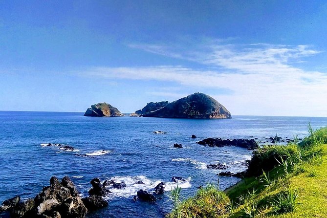 Whale Watching Tour + Vila Franca Islet: Full-day with lunch - The morning search for whales and dolphins