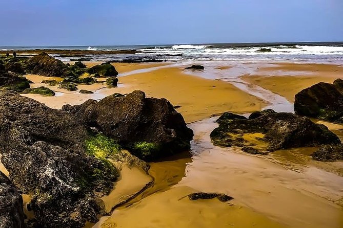 Wild and Wonderful West Coast Full Day Tour - Amado Beach and the red cliffs of the western Algarve