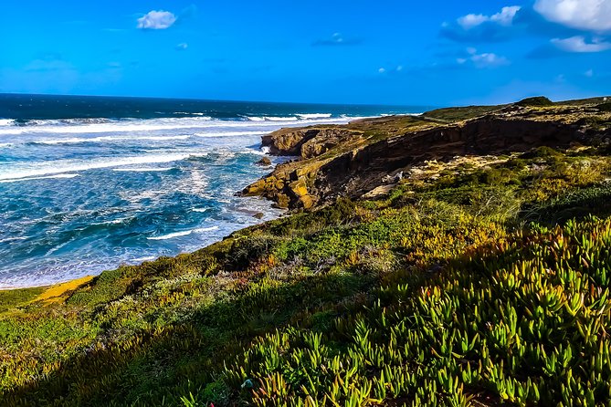 Wild and Wonderful West Coast Full Day Tour - Amoreira Beach, where river and ocean meet