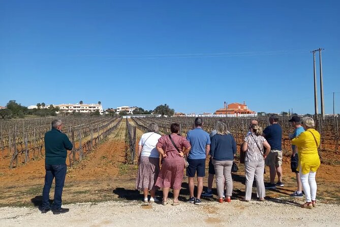 Wine Lovers: Winery Tour w/ Tasting & Tapas (Albufeira/Vilamoura) - Is the $71.38 price fair?