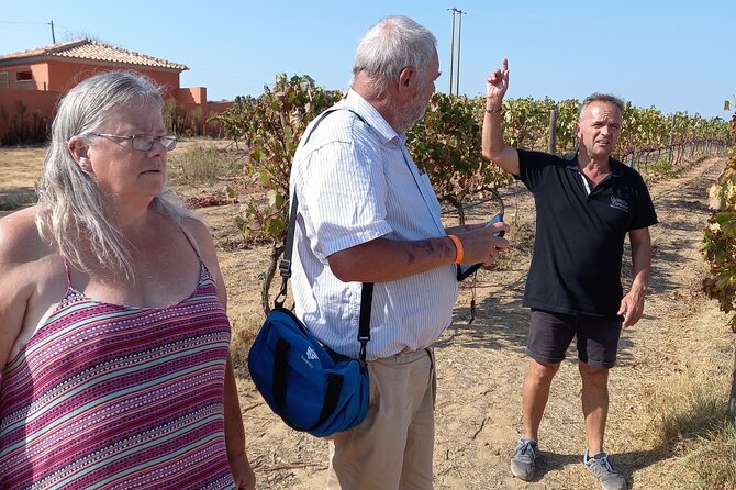Wine Lovers: Winery Tour w/ Tasting & Tapas (Albufeira/Vilamoura) - Four glasses, with a few important caveats