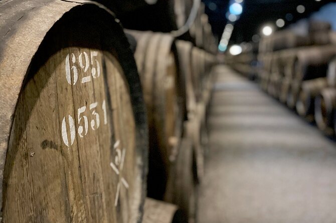 Wine Tasting with Tapas Walking Tour in Porto - A wine walk that begins above the Douro
