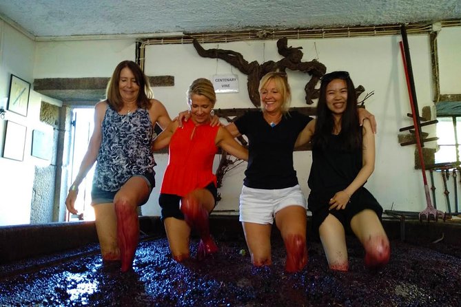 Wine Venture and Boat Trip in Douro Valley from Porto - Lunch at the second winery in Peso da Régua