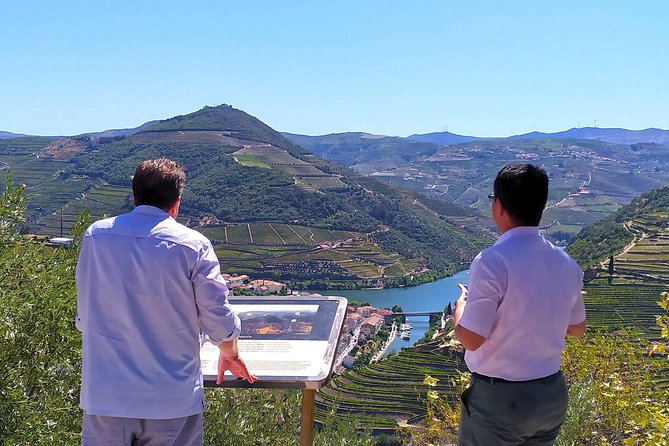Wine Venture and Boat Trip in Douro Valley from Porto - How the wine experience compares with larger tours